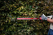 Кущоріз акумуляторний SKIL 0440 CA(без АКБ та ЗП) 11073000401 фото 17