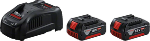 Набор Bosch GBA 18 V Li-Ion 5 Аh + GAL 1880 CV Professional (1600A00B8J)  фото
